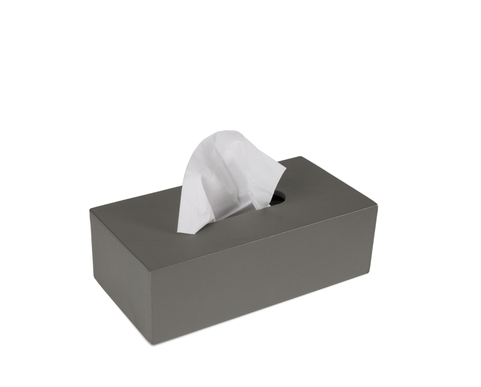 AugustSandgren_Kleenaxholder_G