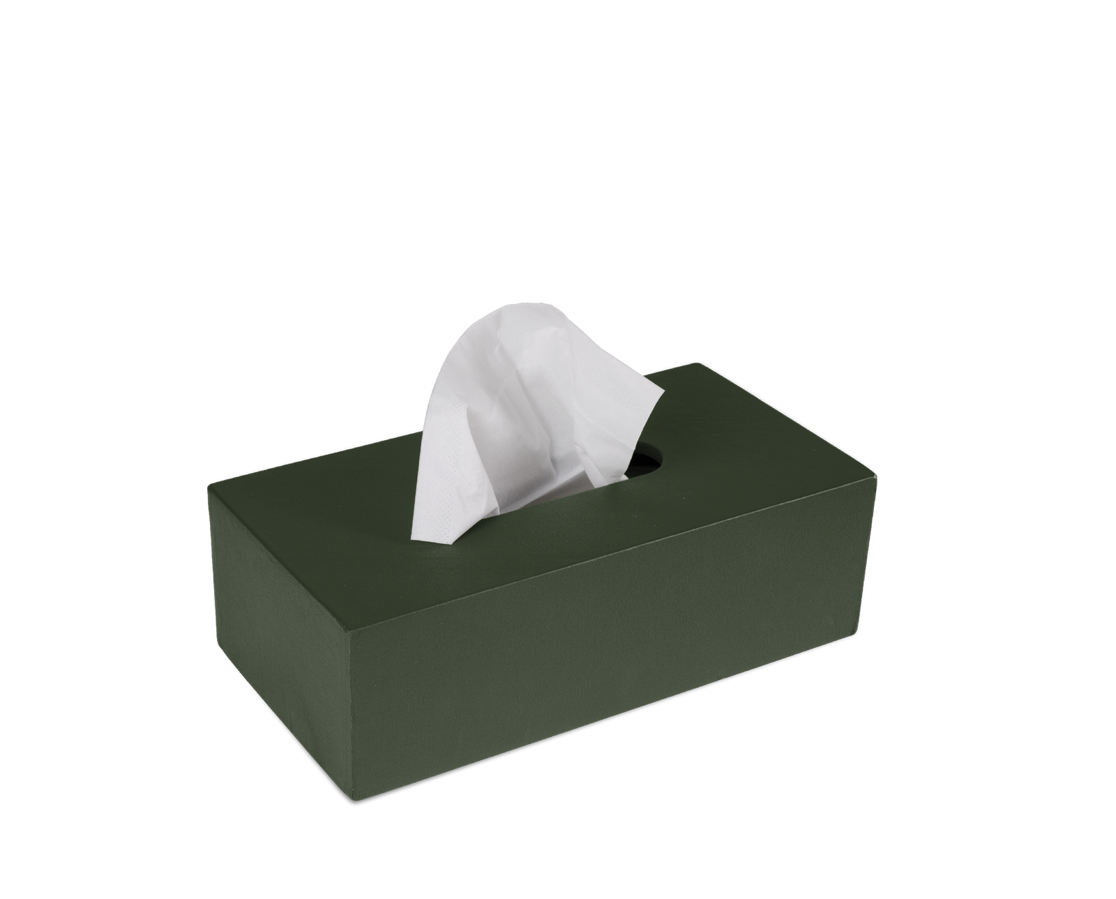 AugustSandgren_Kleenexholder_C