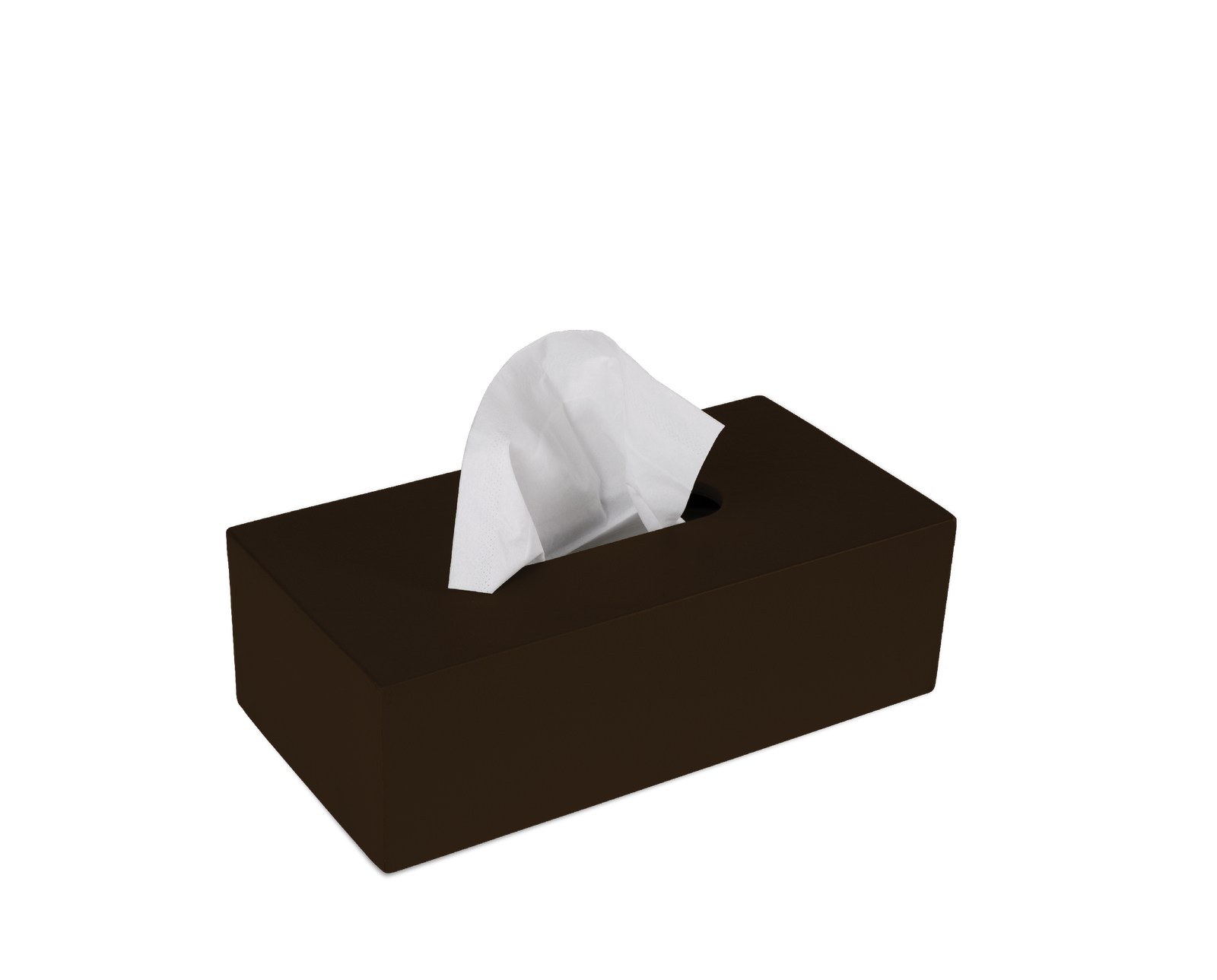 AugustSandgren_Kleenexholder_T