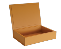 The Bookbox: Leather - Saffron - Large